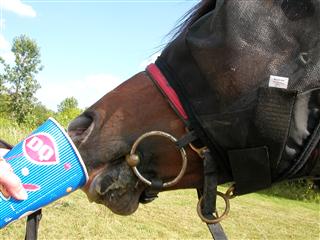 Cooling off after a distance training ride